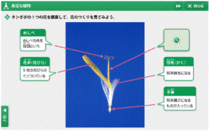 バーチャル実験