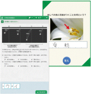 理科