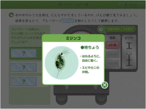 たまごのたんじょう