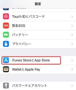 iTune Store