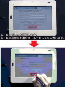 入力内容の確認