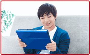 ハイブリッドスタイル