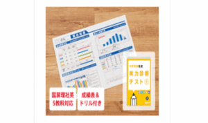 実力診断テスト