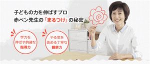 ハイブリットスタイル
