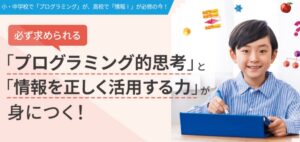 進研ゼミ有料オプション